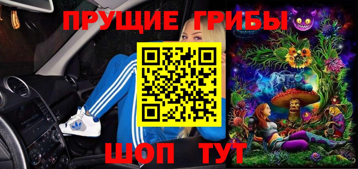 Большой Камень  Галлюциногенные грибы мухоморы  Вход с VPN 