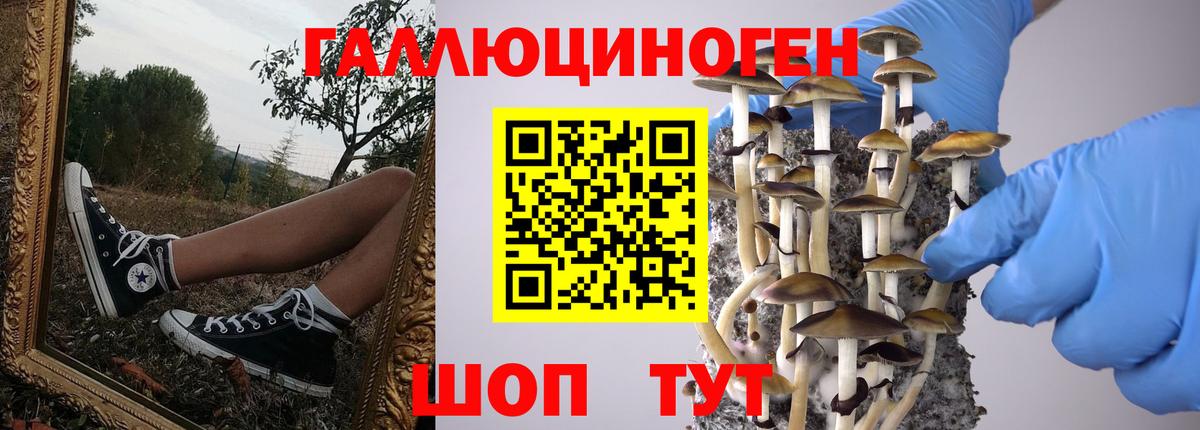 Псилоцибиновые грибы прущие грибы Большой Камень